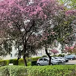 Rataja50 Apartment Olsztyn (Warmian-Masurian)