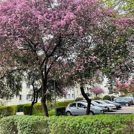 Rataja50 Apartmán Olštýn